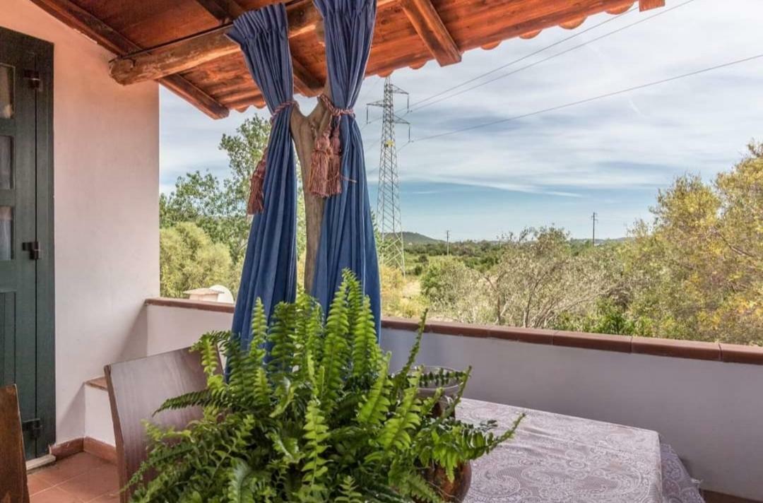 Il Falco Casa Vacanze - Cugnana - Porto Rotondo Bagian luar foto